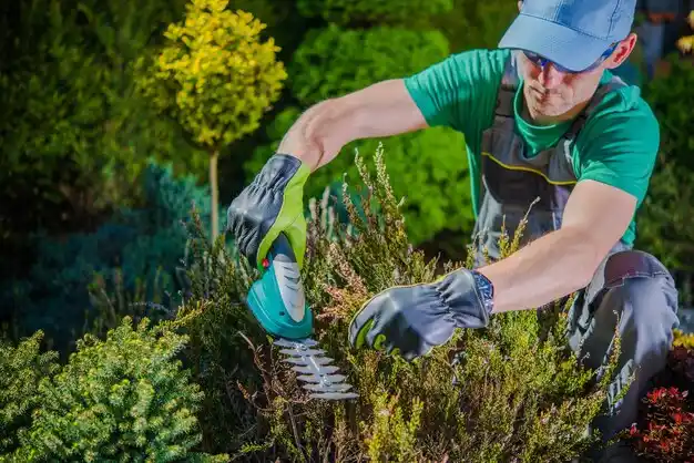 landscaping services Pearl Beach